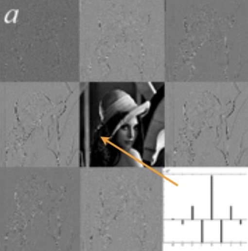 Image Denoising and Quality Assessment Through the Rényi Entropy