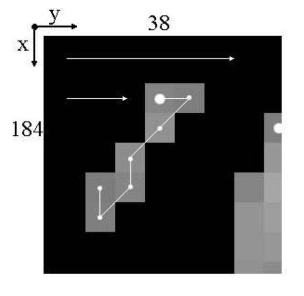 Lossless Chain Coder for Gray Edge Images