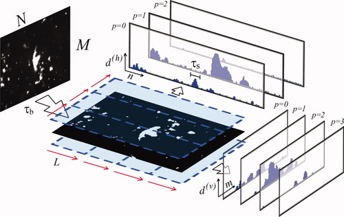 Comparative Evaluation of Autofocus Algorithms for a Real-Time System for Automatic Detection of Mycobacterium Tuberculosis