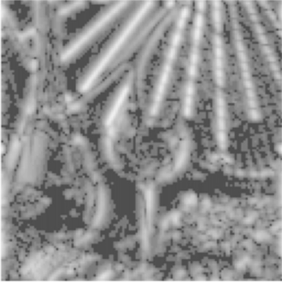 Sparse Overcomplete Gabor Wavelet Representation Based on Local Competitions
