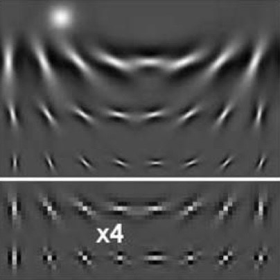Self-Invertible 2D Log-Gabor Wavelets
