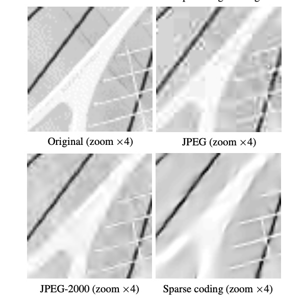 Sparse Edge Coding Using Overcomplete Gabor Wavelets