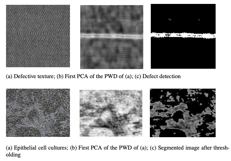 Texture Segmentation and Analysis Using Local Spectral Methods